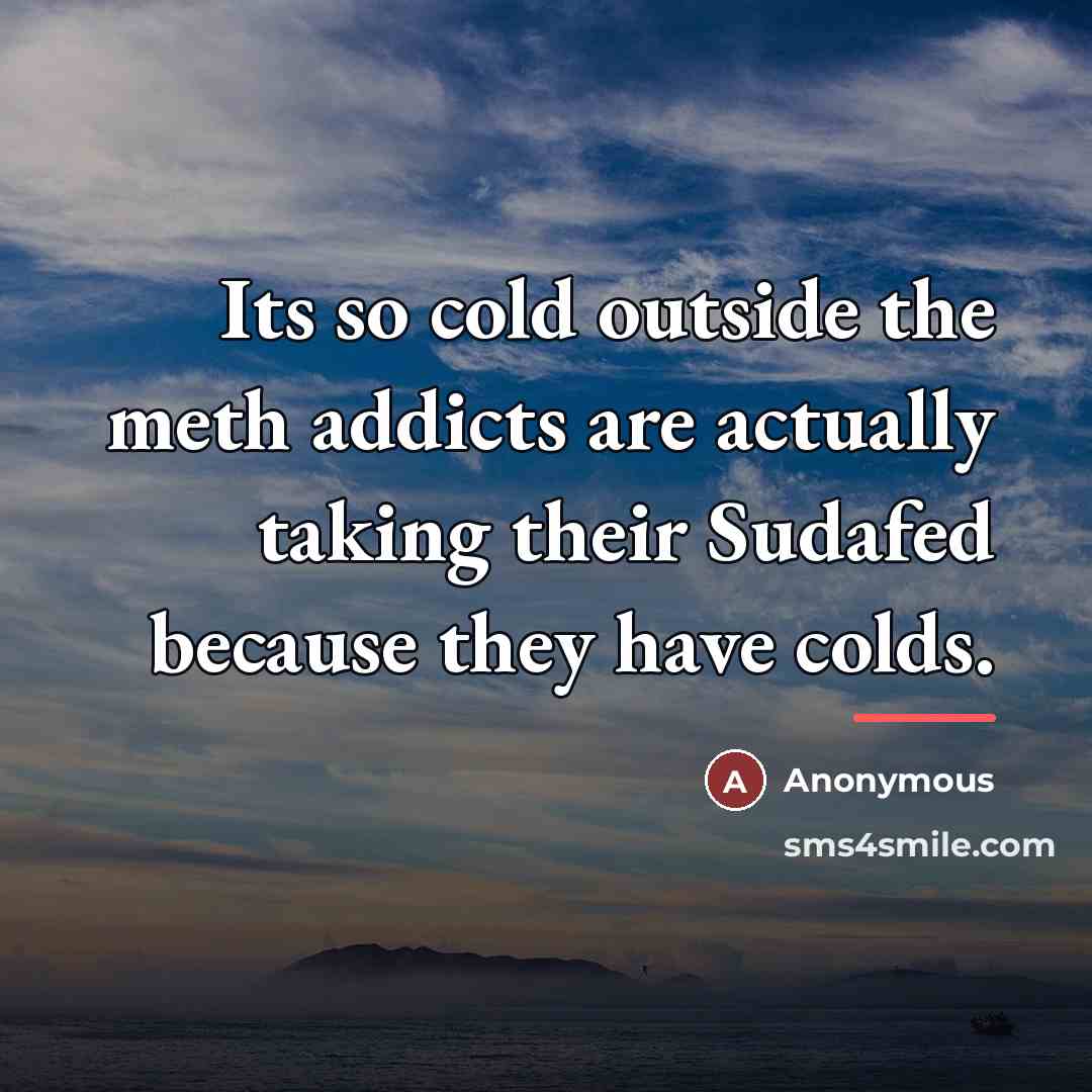 “Its so cold outside the meth addicts are actually taking…” quote by Anonymous