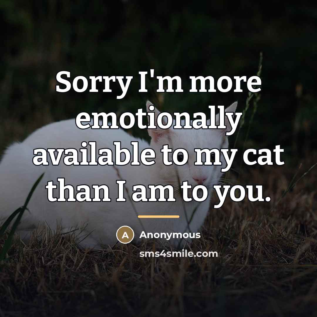 “Sorry I'm more emotionally available to my cat than I…” quote by Anonymous