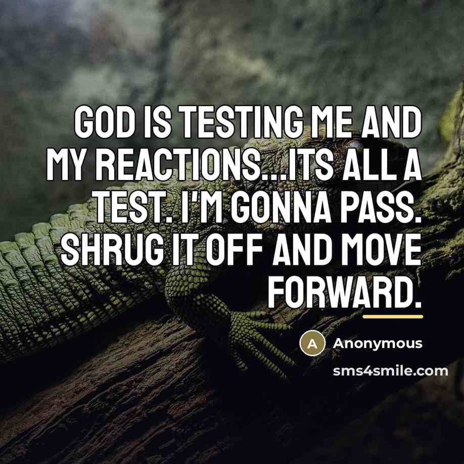 “God is testing me and my reactions...Its all a test.…” quote by Anonymous