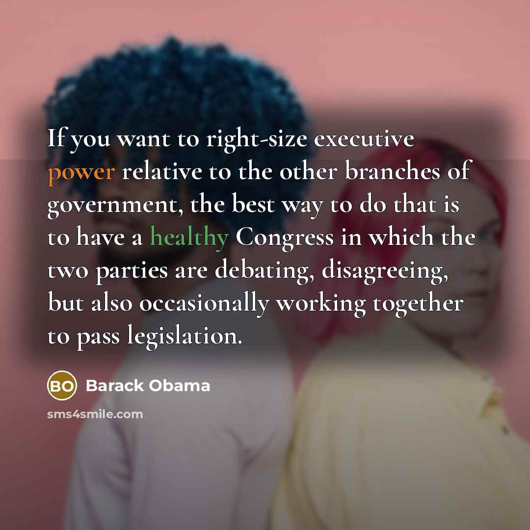 “If you want to right-size executive power relative to the…” quote by Barack Obama