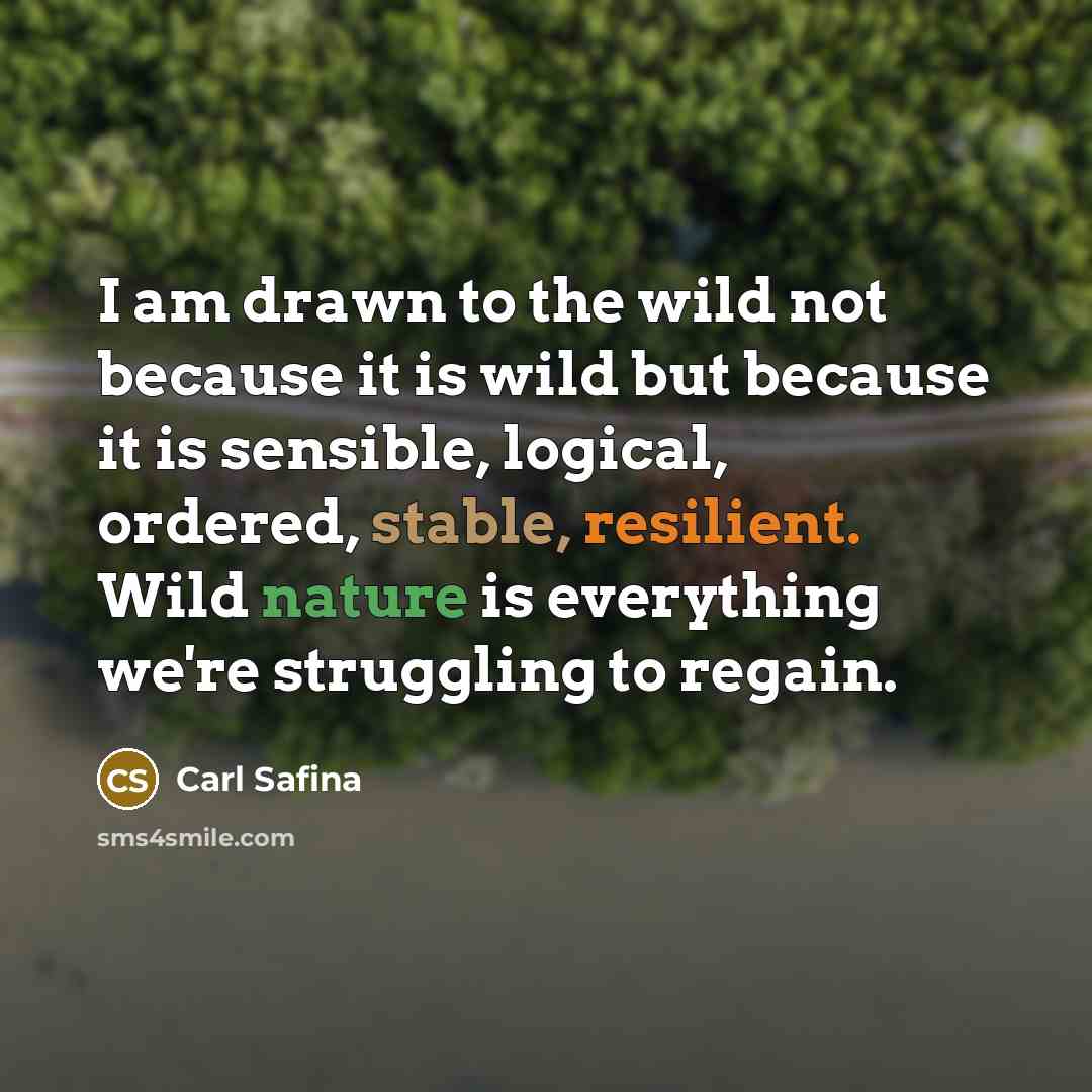 “I am drawn to the wild not because it is…” quote by Carl Safina