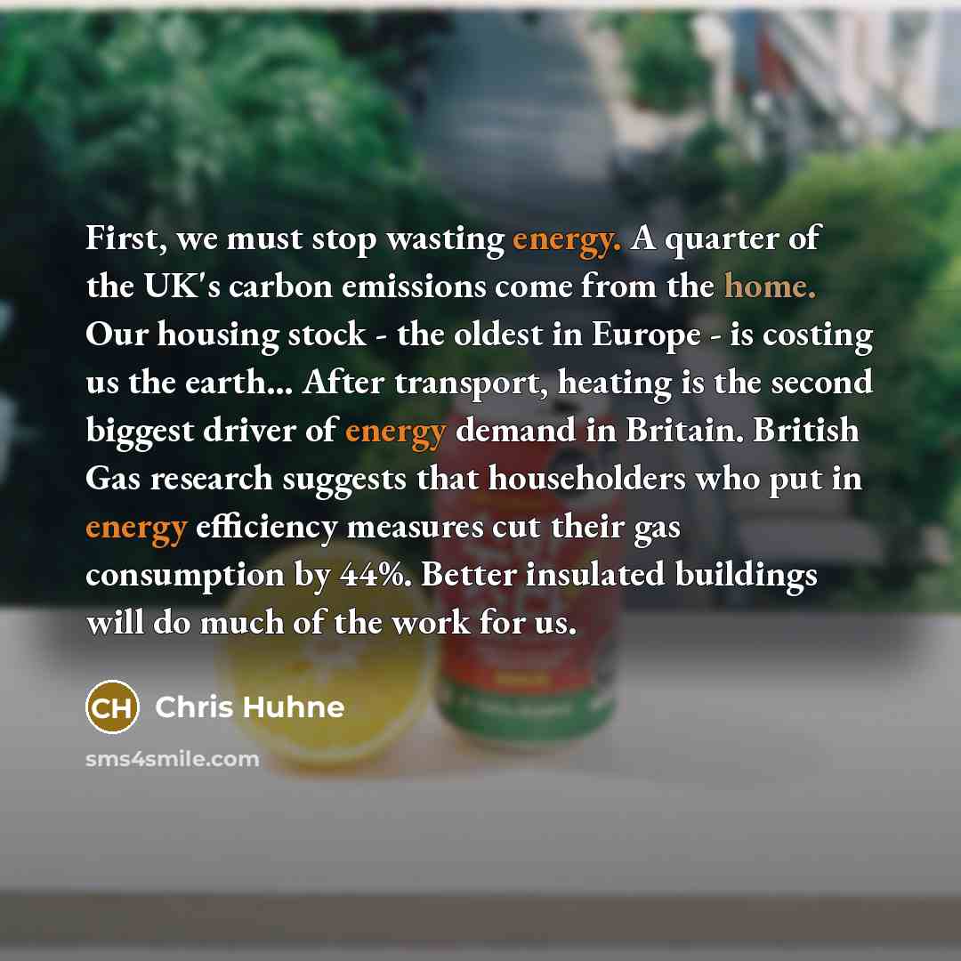 “First, we must stop wasting energy. A quarter of the…” quote by Chris Huhne