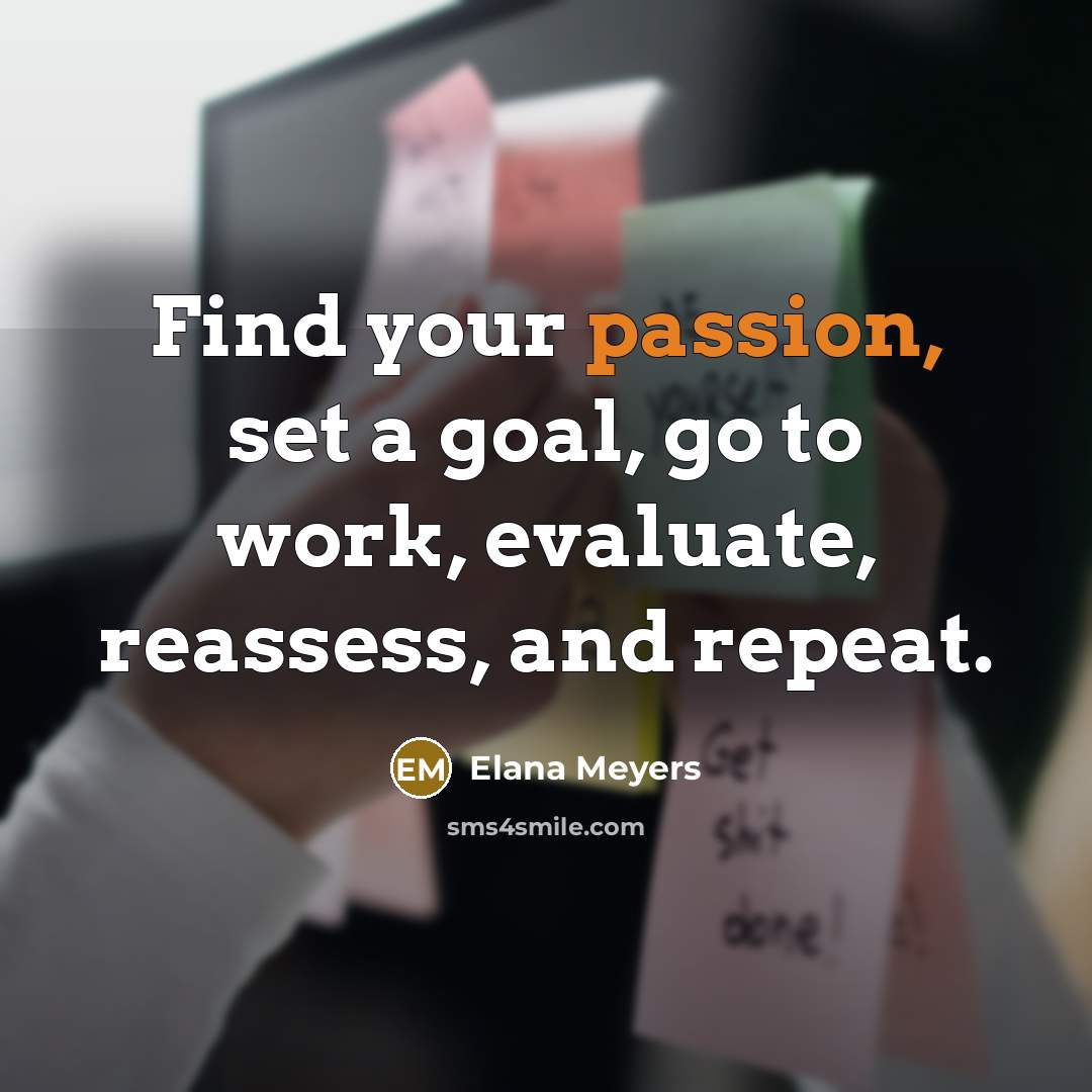 “Find your passion, set a goal, go to work, evaluate,…” quote by Elana Meyers