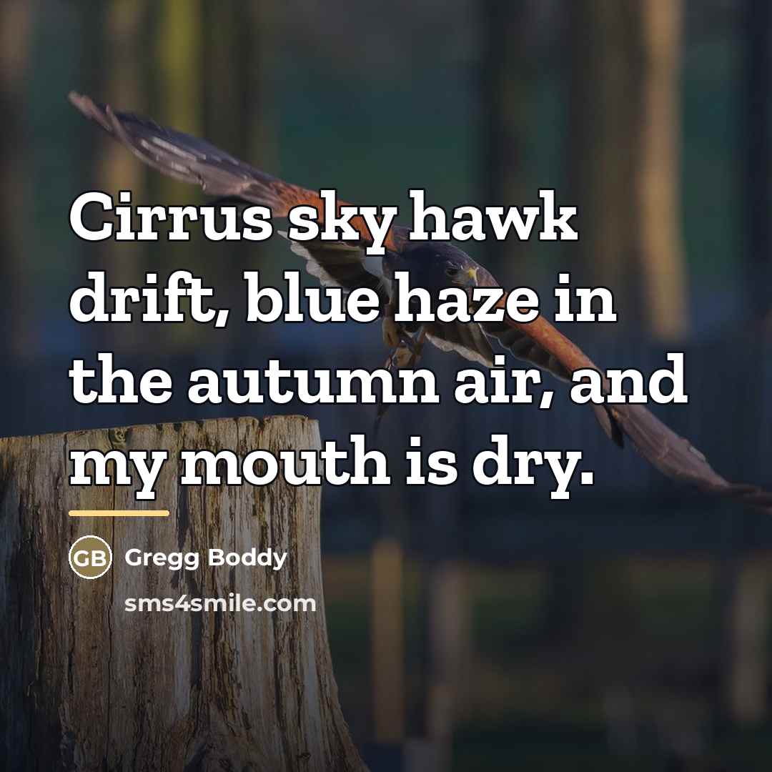 “Cirrus sky hawk drift, blue haze in the autumn air,…” quote by Gregg Boddy