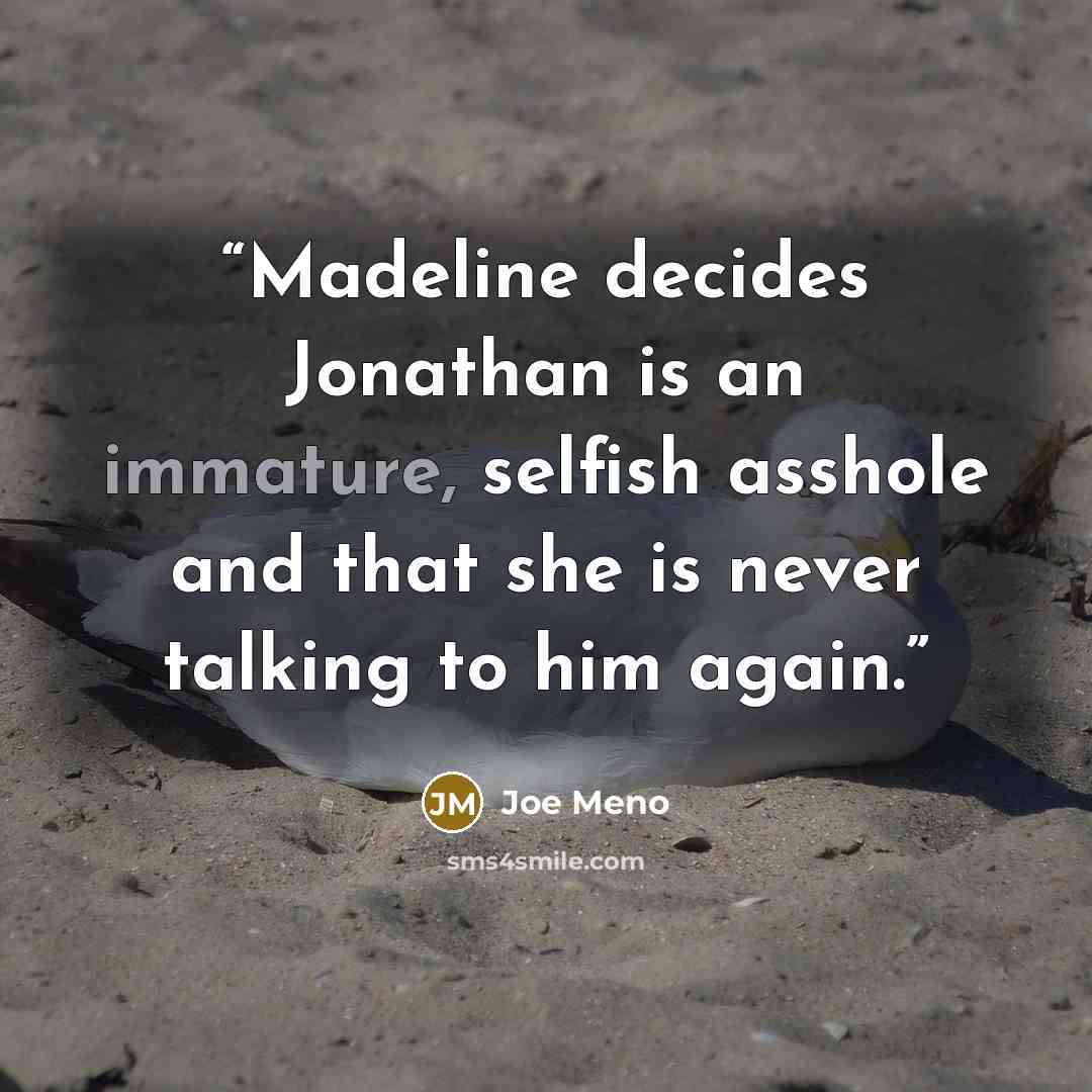 “Madeline decides Jonathan is an immature, selfish asshole and that she is never talking to him again.” quote by Joe Meno