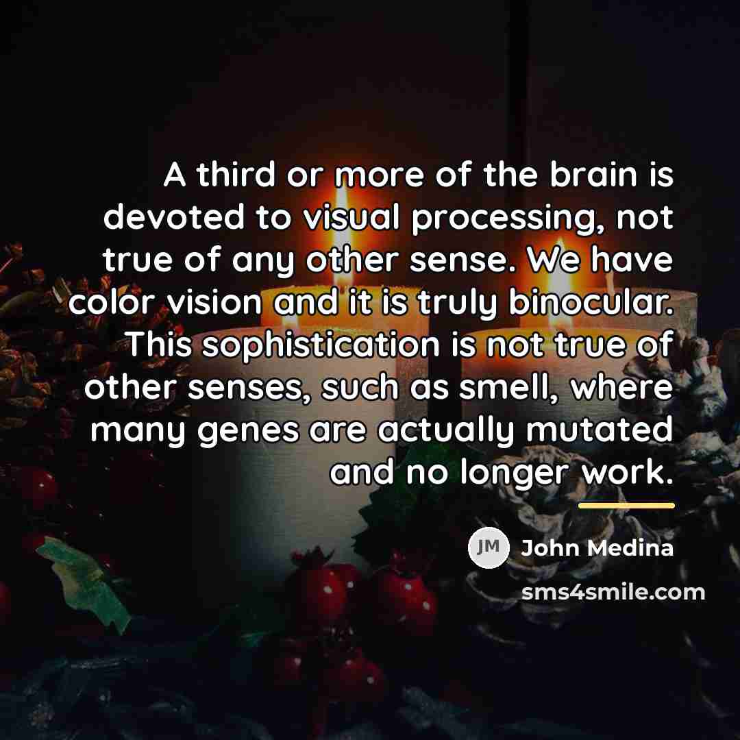 “A third or more of the brain is devoted to…” quote by John Medina