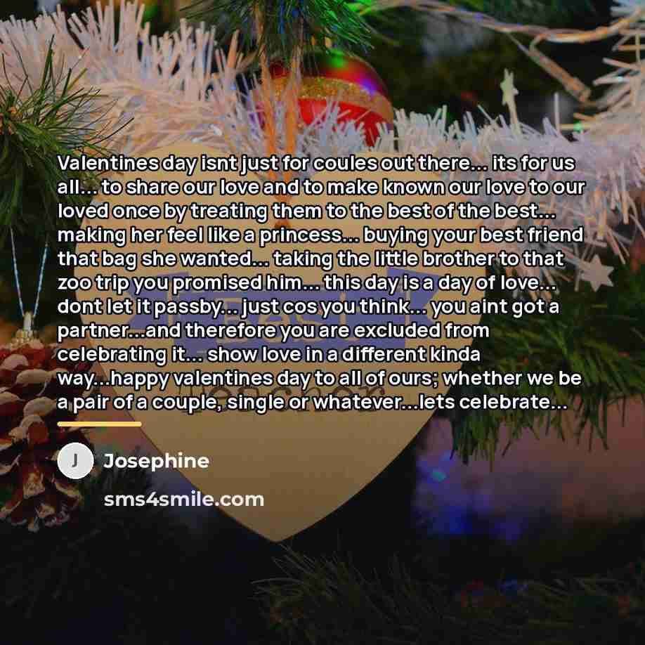 “Valentines day isnt just for coules out there... its for…” quote by Josephine