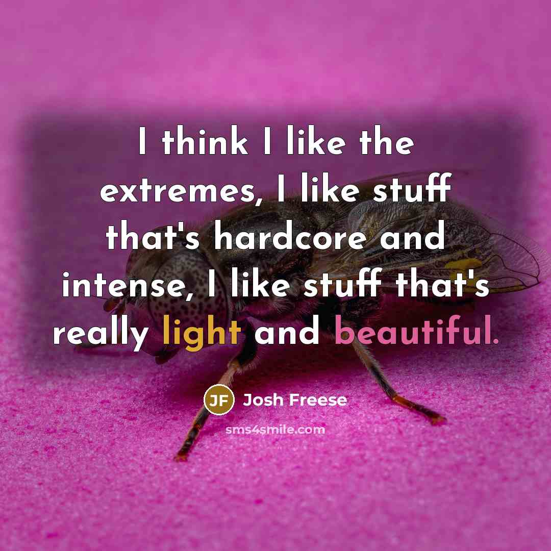 “I think I like the extremes, I like stuff that's…” quote by Josh Freese