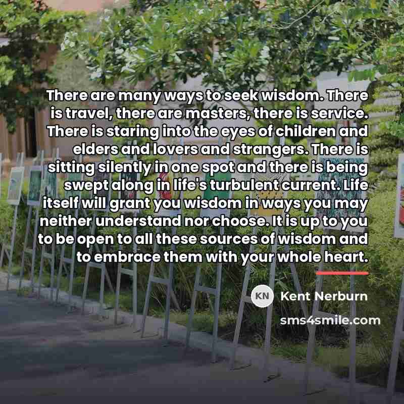 “There are many ways to seek wisdom. There is travel,…” quote by Kent Nerburn