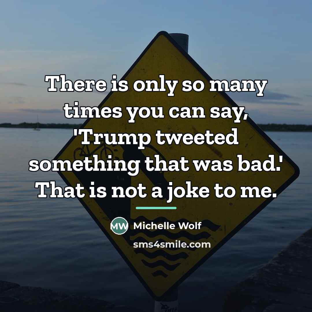 “There is only so many times you can say, 'Trump…” quote by Michelle Wolf