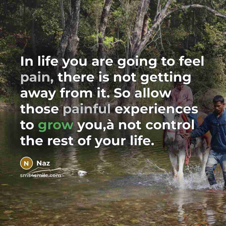 “In life you are going to feel pain, there is…” quote by Naz