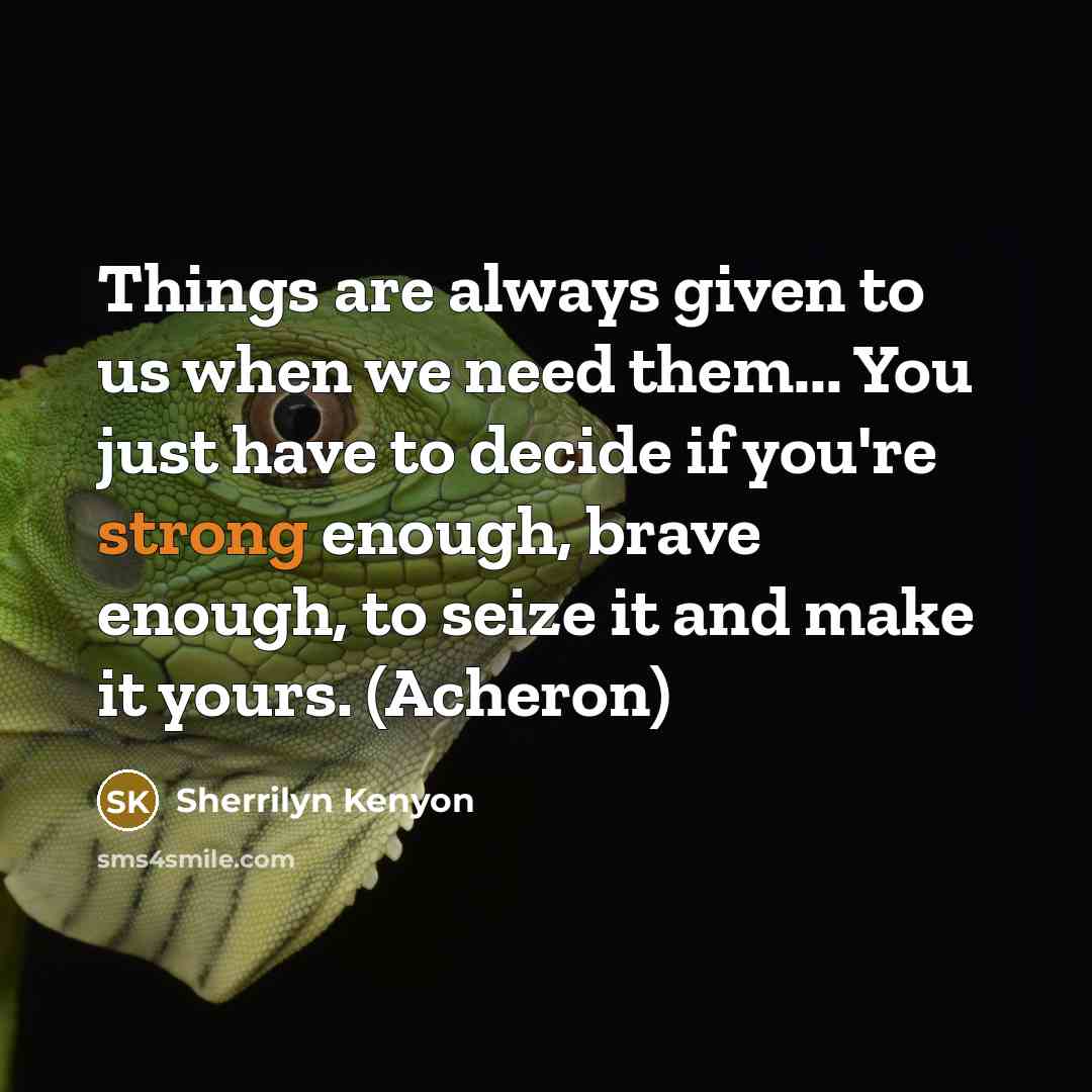 “Things are always given to us when we need them...…” quote by Sherrilyn Kenyon