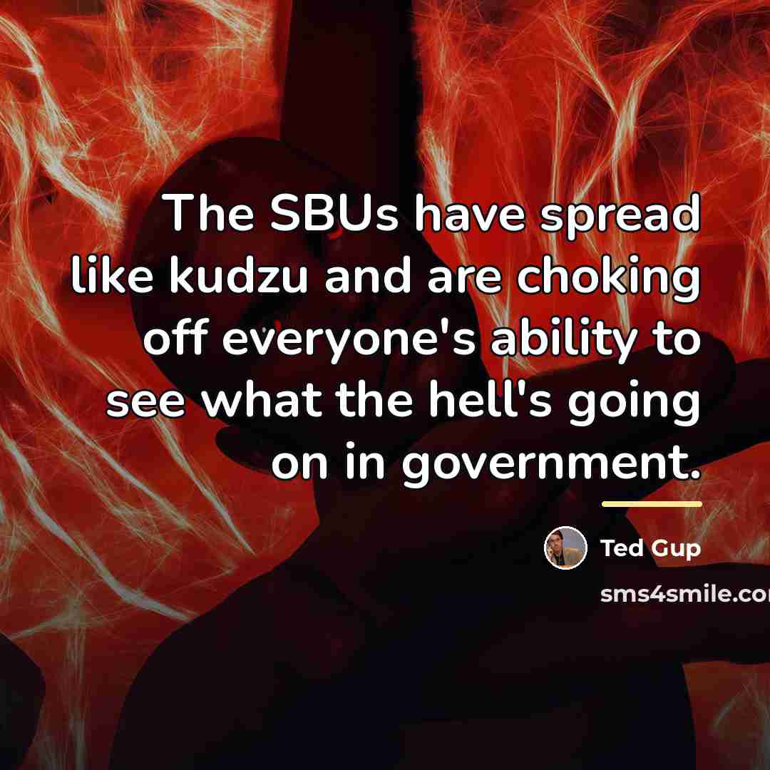 “The SBUs have spread like kudzu and are choking off…” quote by Ted Gup