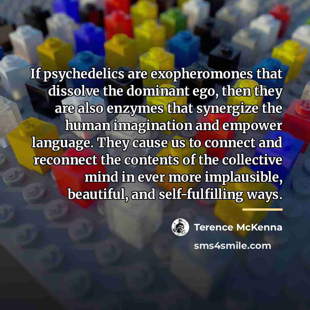 “If psychedelics are exopheromones that dissolve the dominant ego, then…” quote by Terence McKenna
