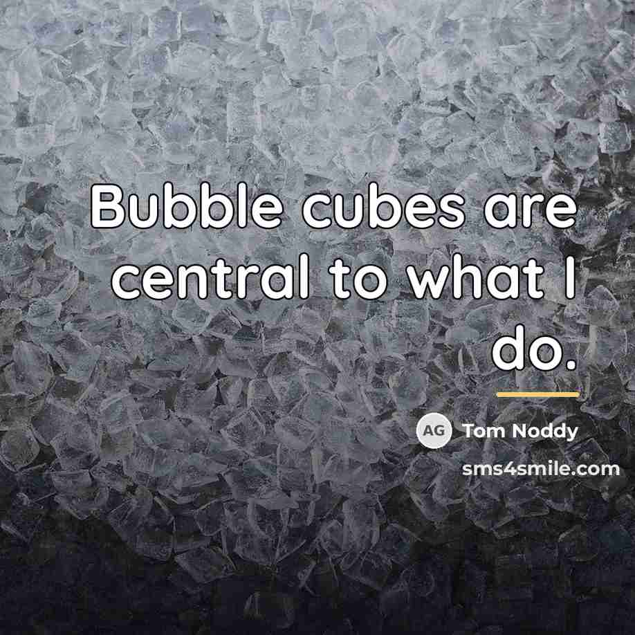 “Bubble cubes are central to what I do.…” quote by Tom Noddy