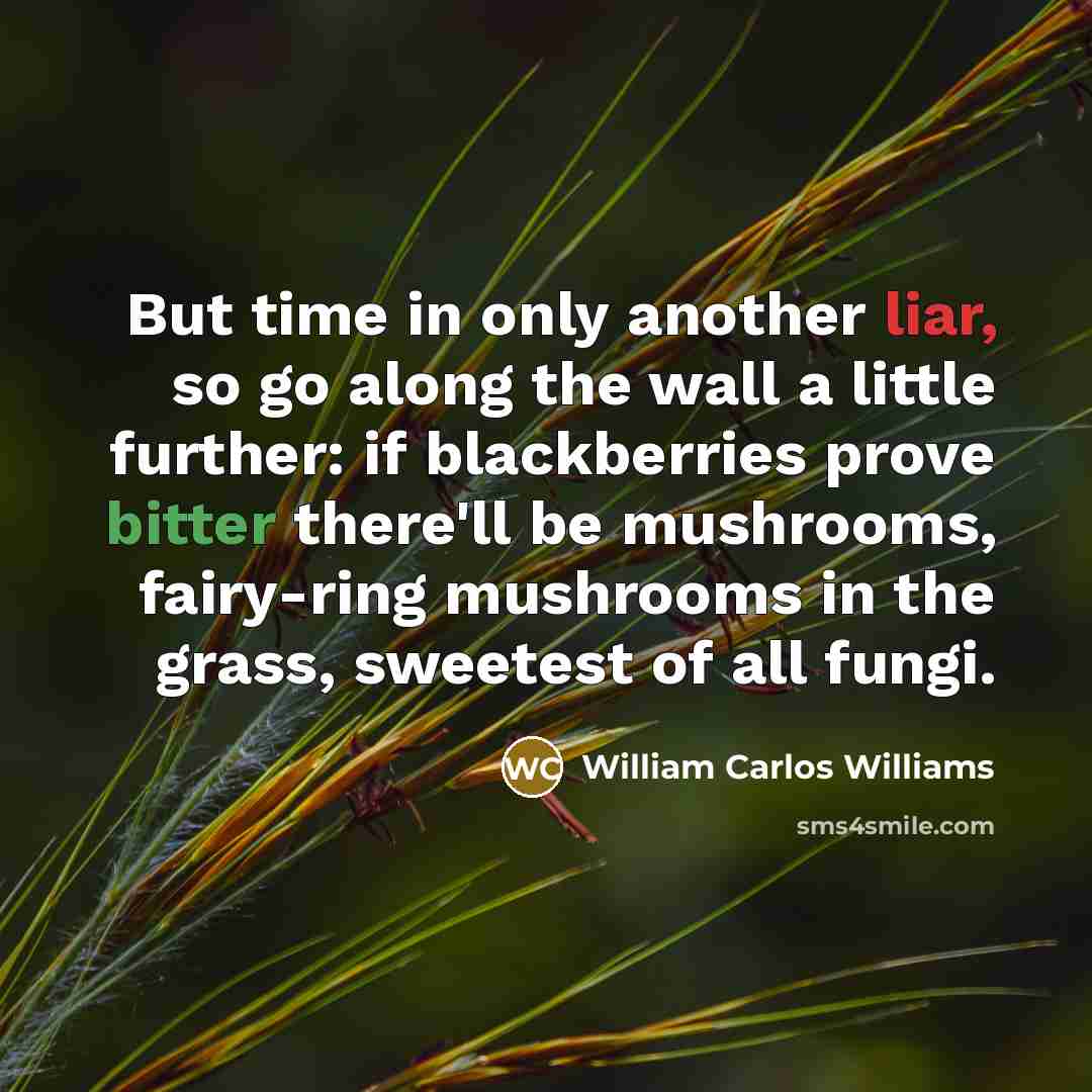 “But time in only another liar, so go along the…” quote by William Carlos Williams