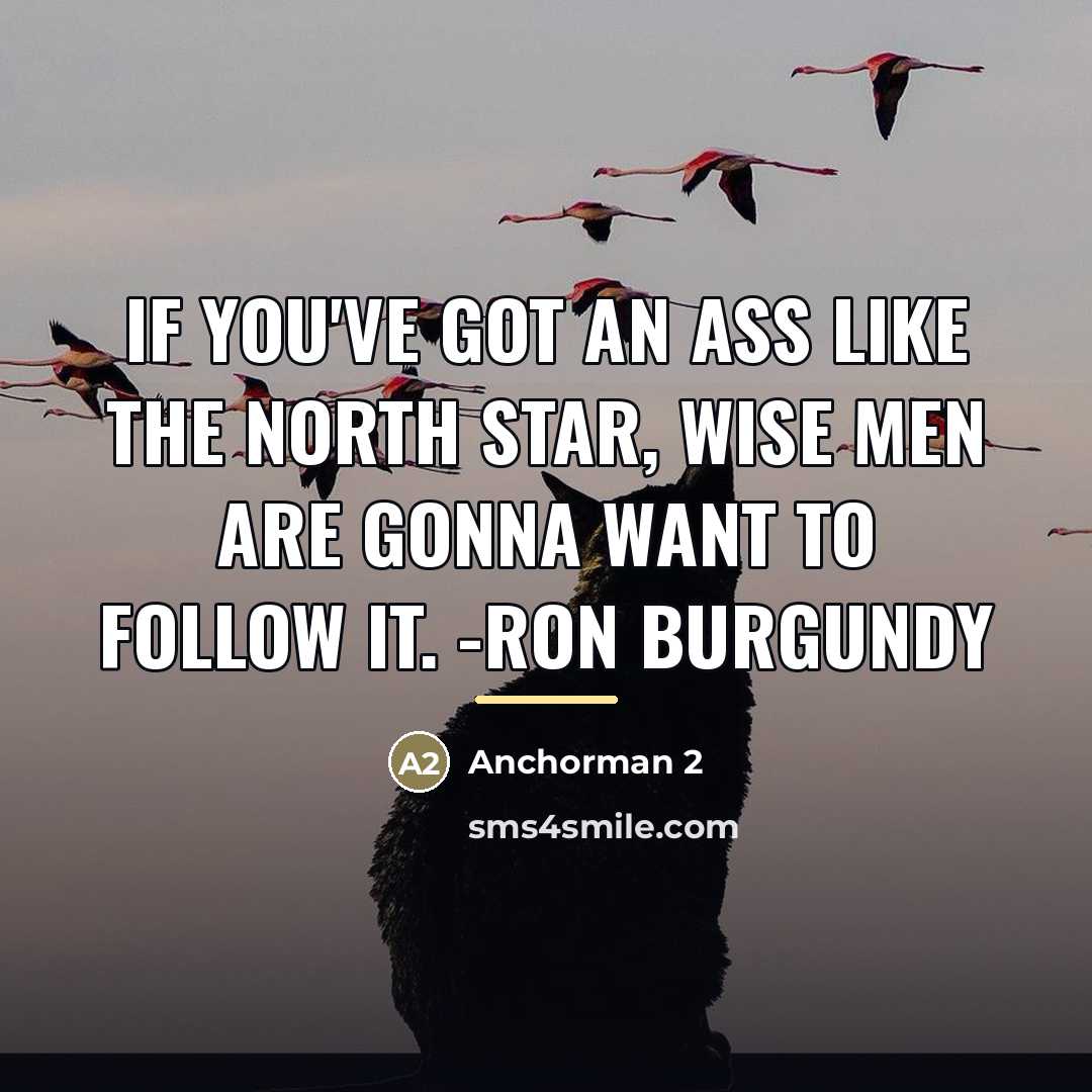 “If you've got an ass like the North Star, wise…” quote by Anchorman 2