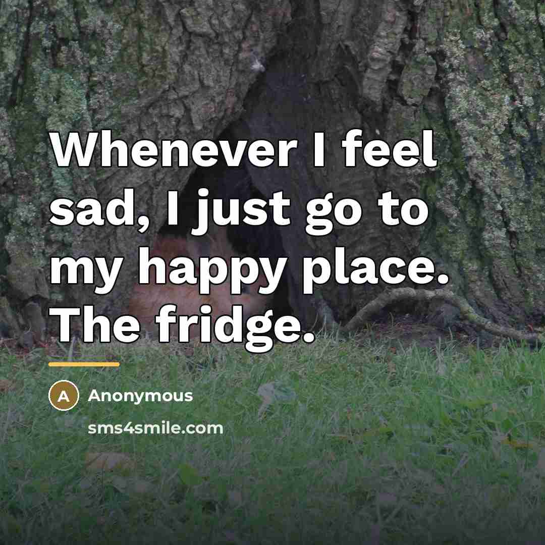 “Whenever I feel sad, I just go to my happy…” quote by Anonymous