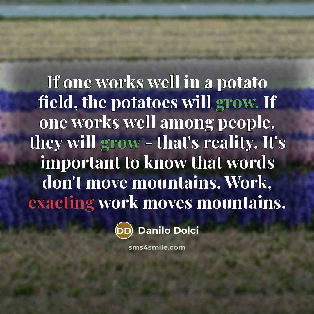 “If one works well in a potato field, the potatoes…” quote by Danilo Dolci
