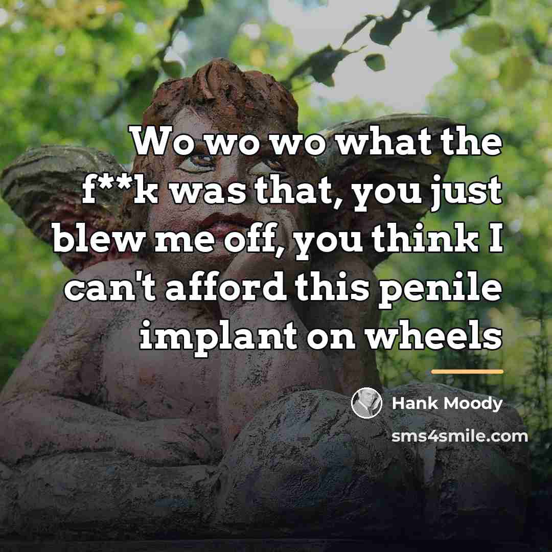 “Wo wo wo what the f**k was that, you just…” quote by Hank Moody