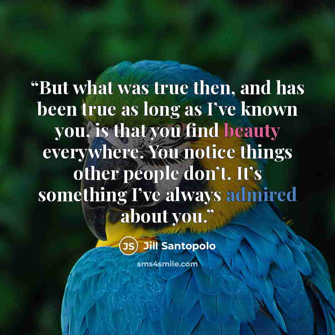 “But what was true then, and has been true as long as I’ve known you, is that you find beauty everywhere. You notice things other people don’t. It’s something I’ve always admired about you.” quote by Jill Santopolo