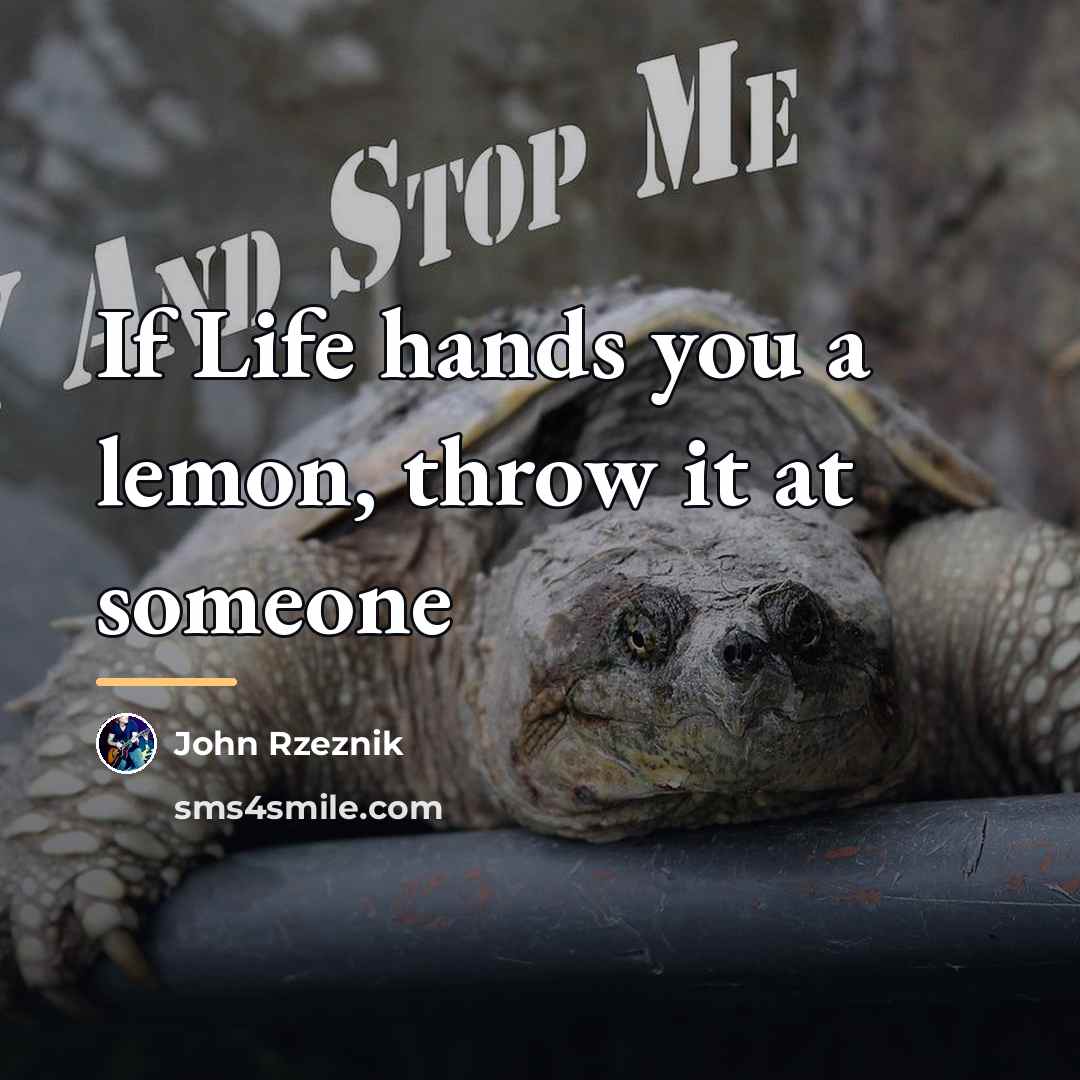 “If Life hands you a lemon, throw it at someone…” quote by John Rzeznik