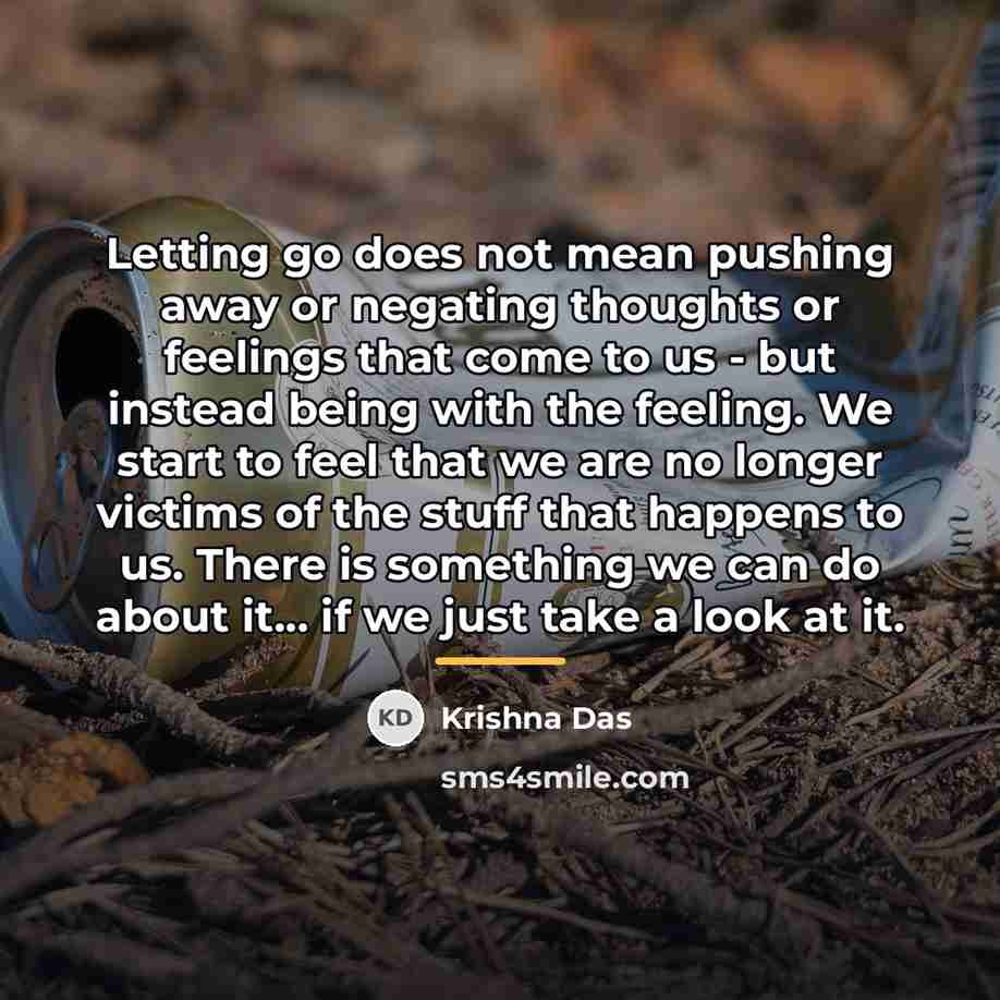 “Letting go does not mean pushing away or negating thoughts…” quote by Krishna Das