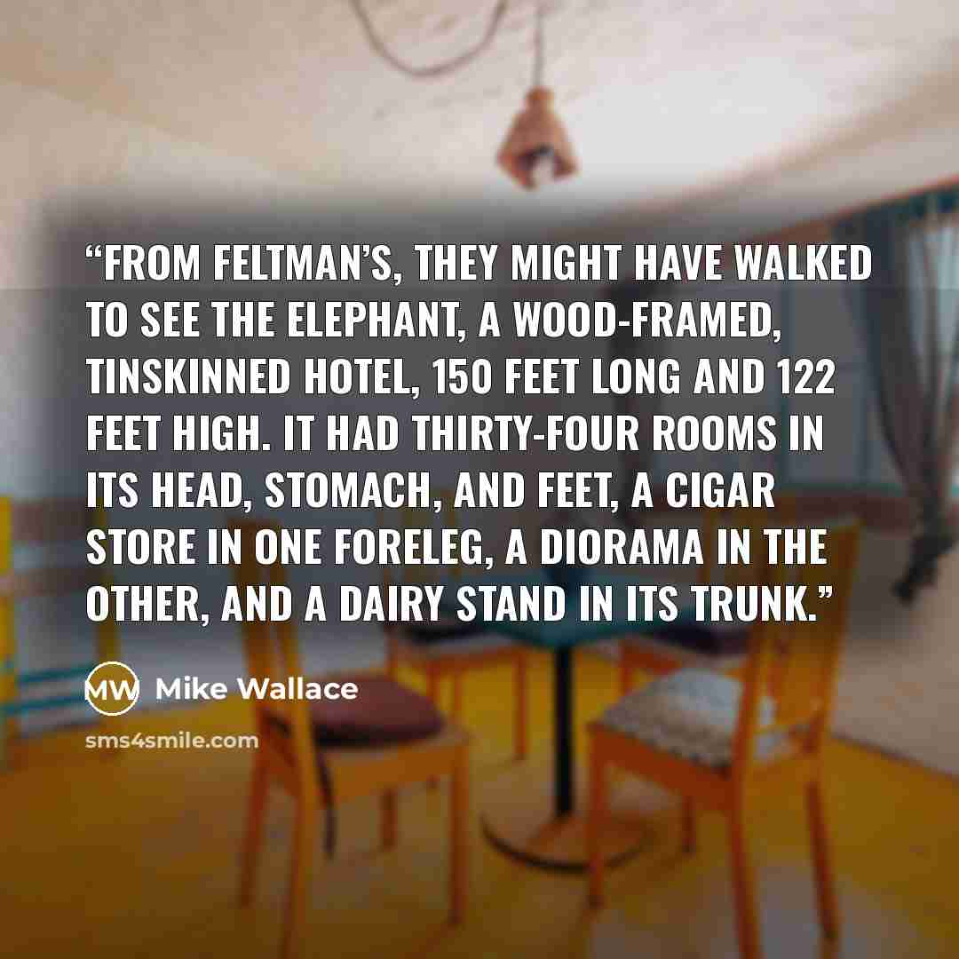 “From Feltman’s, they might have walked to see the Elephant, a wood-framed, tinskinned hotel, 150 feet long and 122 feet high. It had thirty-four rooms in its head, stomach, and feet, a cigar store in one foreleg, a diorama in the other, and a dairy stand in its trunk.” quote by Mike Wallace