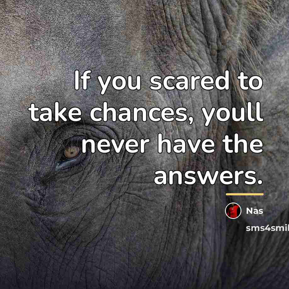 “If you scared to take chances, youll never have the…” quote by Nas