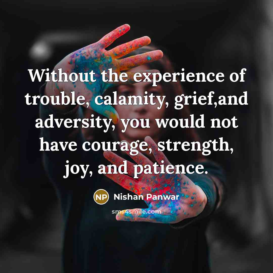 “Without the experience of trouble, calamity, grief,and adversity, you would…” quote by Nishan Panwar