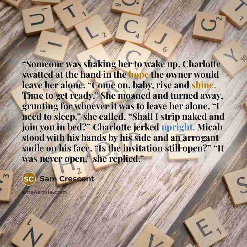 “Someone was shaking her to wake up. Charlotte swatted at the hand in the hope the owner would leave her alone. “Come on, baby, rise and shine. Time to get ready.” She moaned and turned away, grunting for whoever it was to leave her alone. “I need to sleep,” she called. “Shall I strip naked and…” quote by Sam Crescent