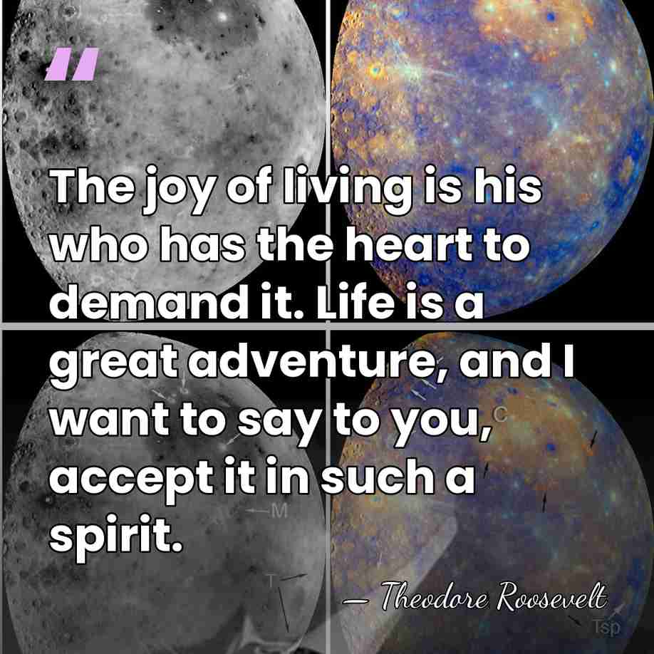 The joy of living is his who has the heart to demand&hellip; - Theodore Roosevelt