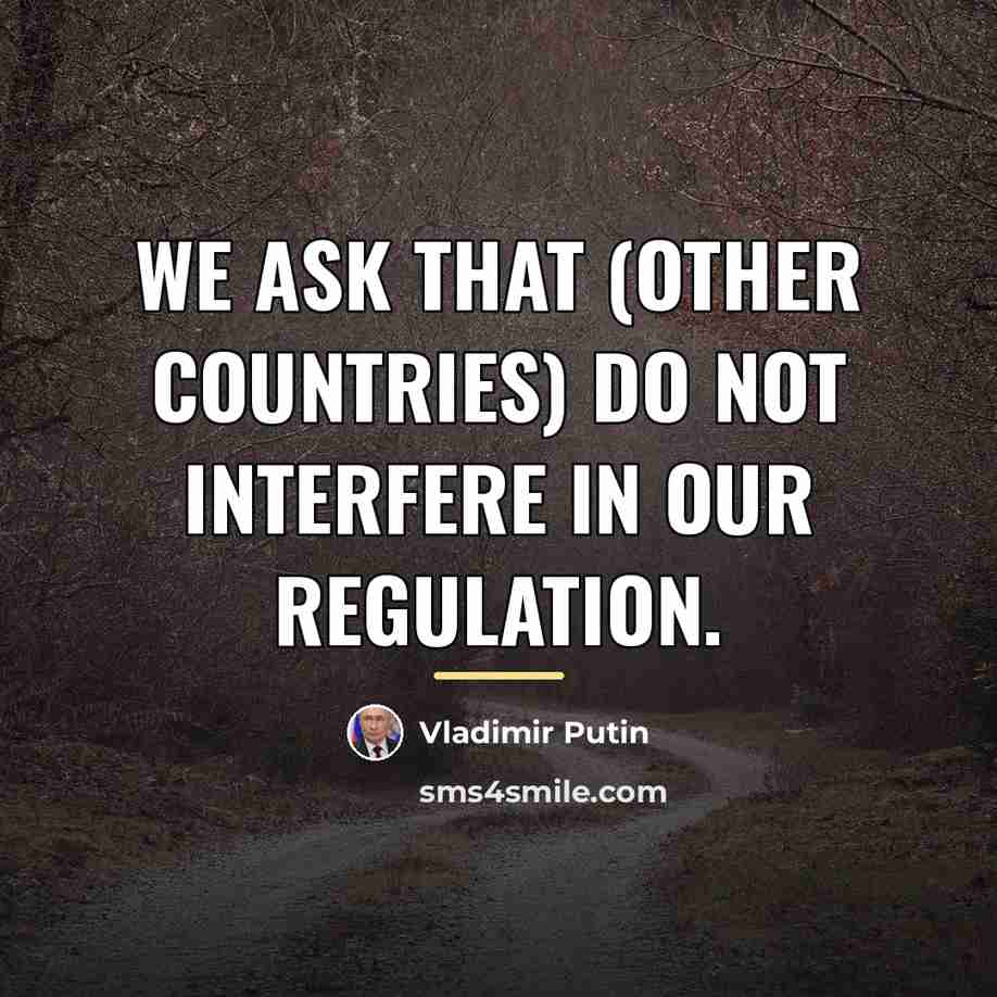 “We ask that (other countries) do not interfere in our…” quote by Vladimir Putin