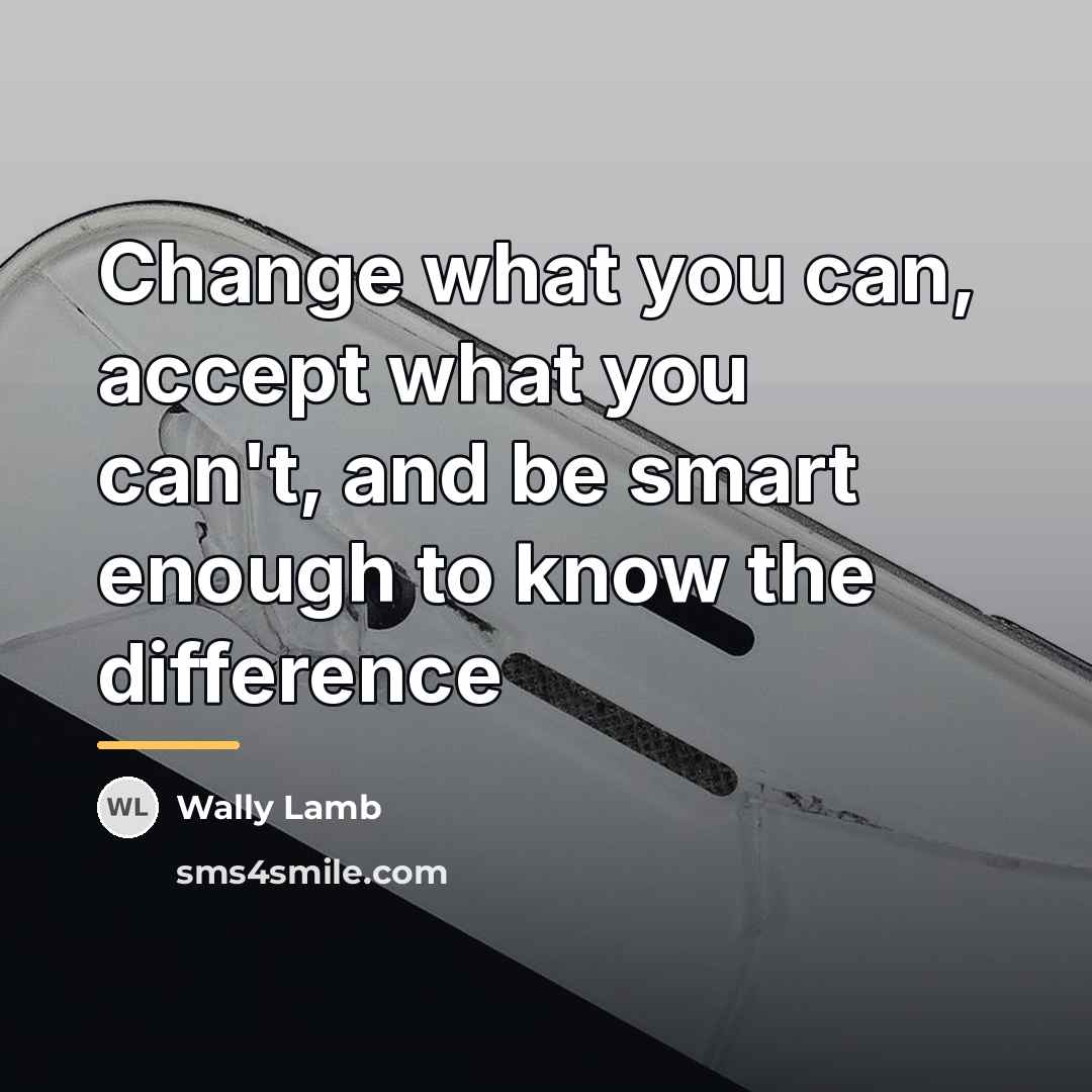 “Change what you can, accept what you can't, and be…” quote by Wally Lamb