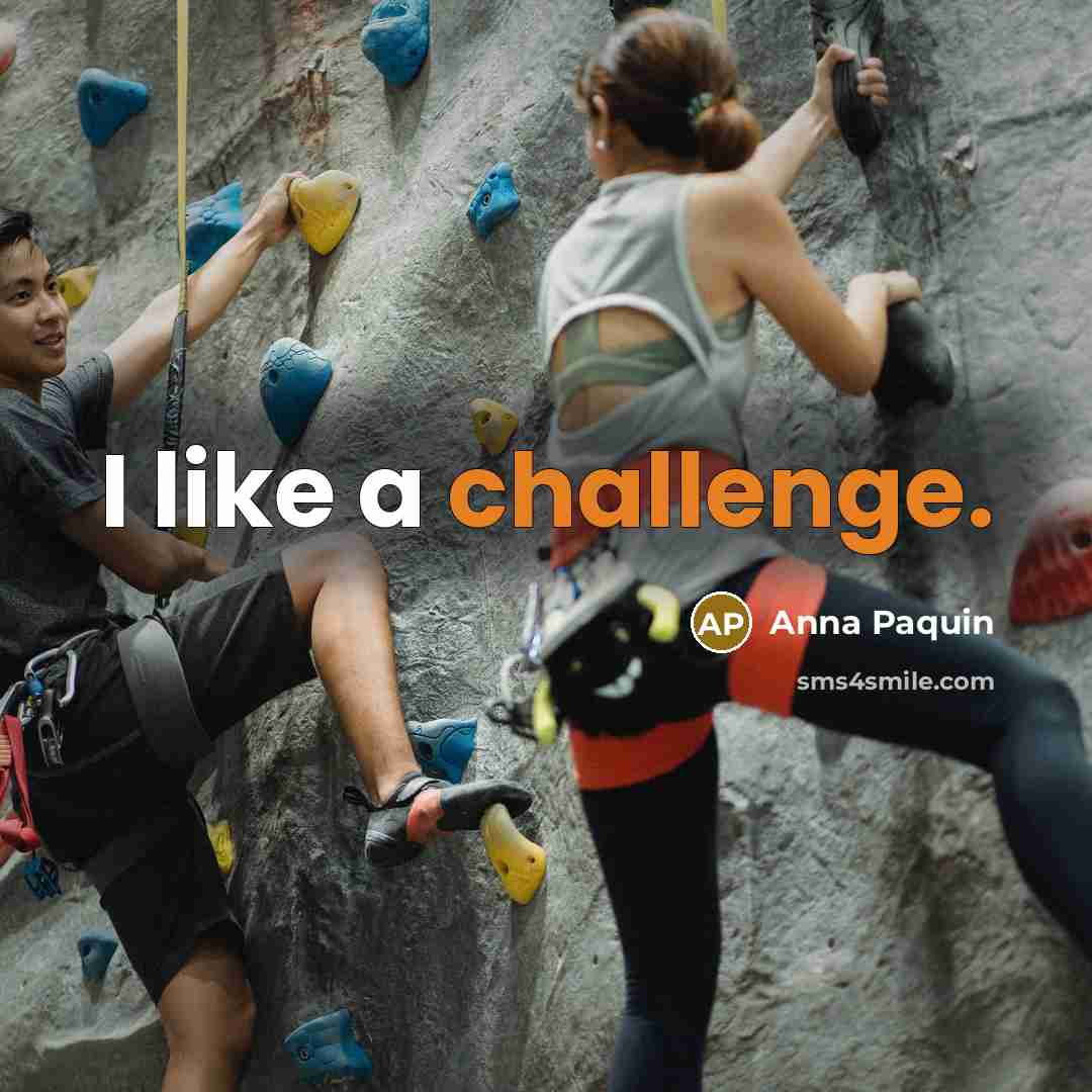“I like a challenge.…” quote by Anna Paquin