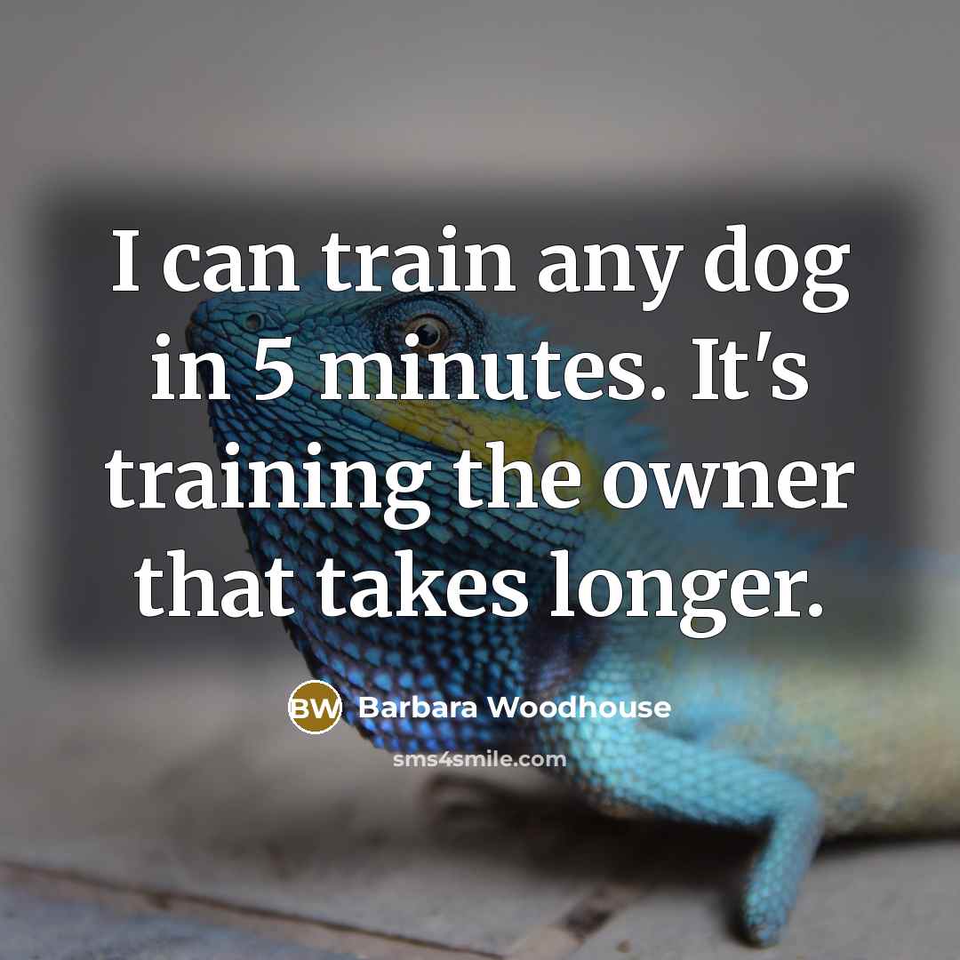 “I can train any dog in 5 minutes. It's training the owner that takes longer.” quote by Barbara Woodhouse