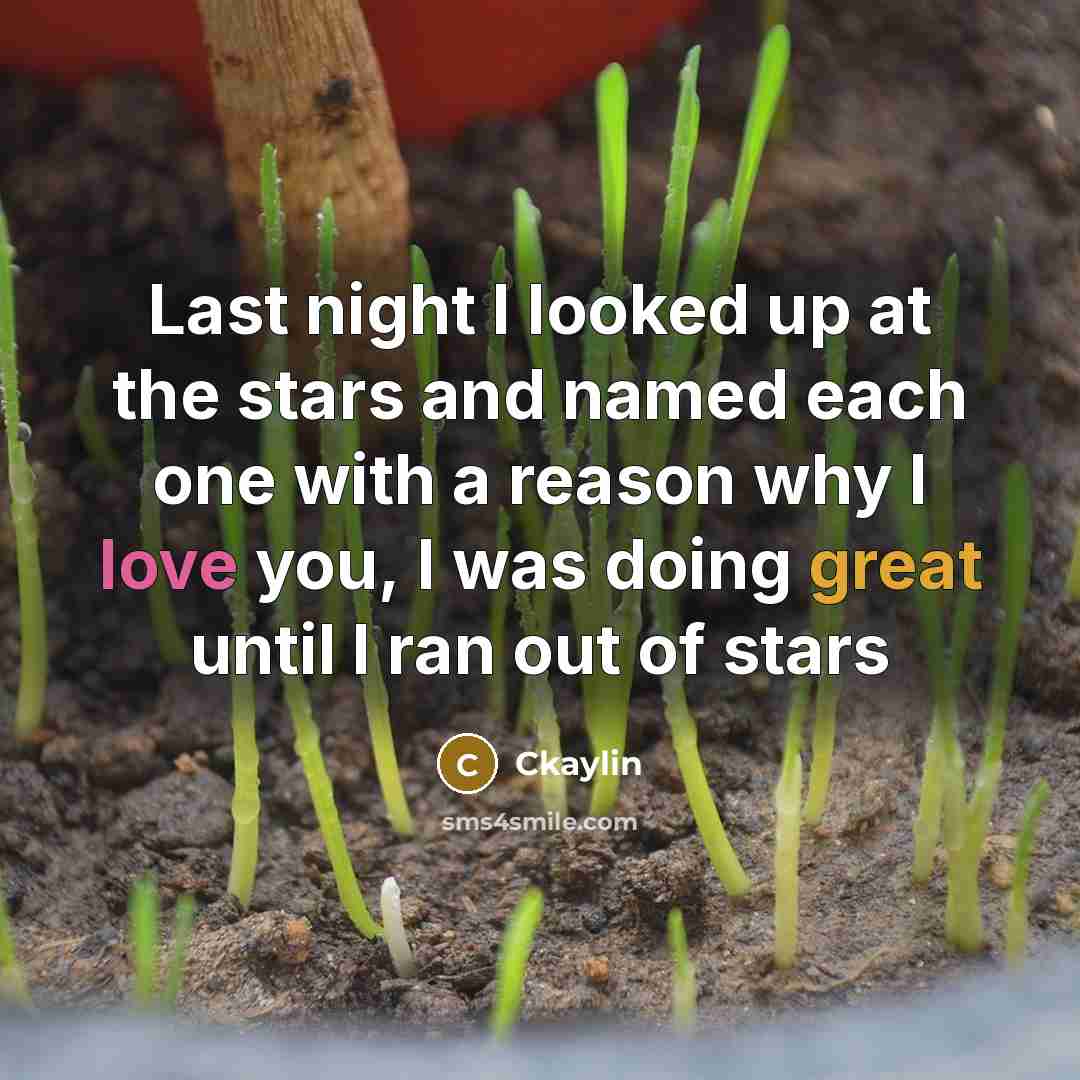 “Last night I looked up at the stars and named…” quote by Ckaylin