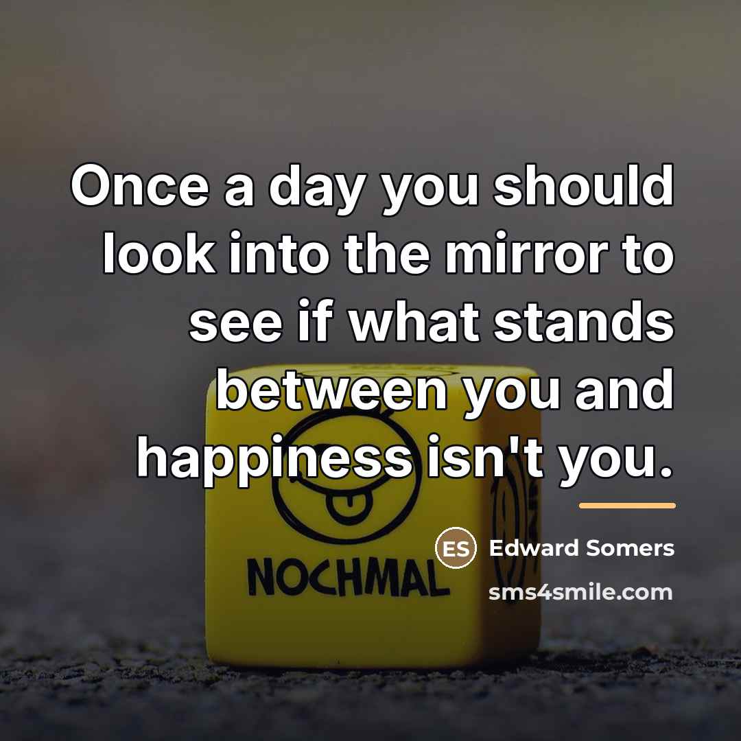 “Once a day you should look into the mirror to…” quote by Edward Somers