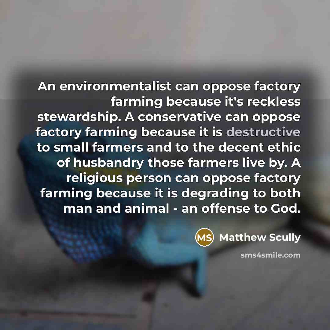 “An environmentalist can oppose factory farming because it's reckless stewardship.…” quote by Matthew Scully