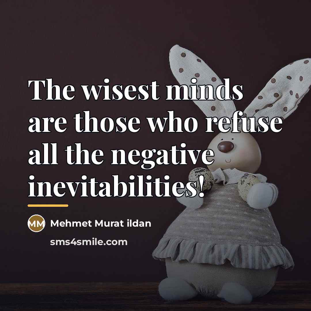 “The wisest minds are those who refuse all the negative…” quote by Mehmet Murat Ildan
