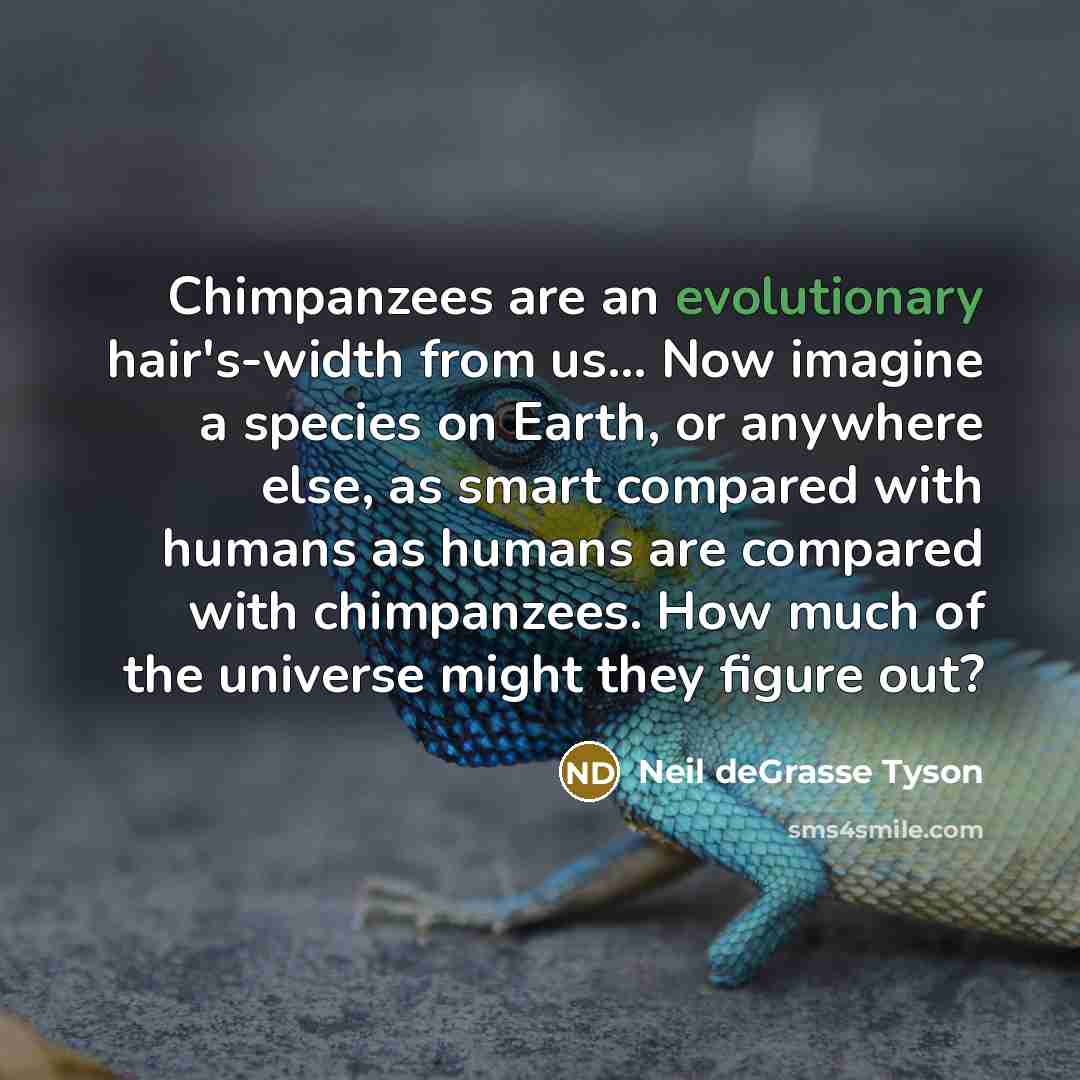 “Chimpanzees are an evolutionary hair's-width from us… Now imagine a species on Earth, or anywhere else, as smart compared with humans as humans are compared with chimpanzees. How much of the universe might they figure out?” quote by Neil deGrasse Tyson