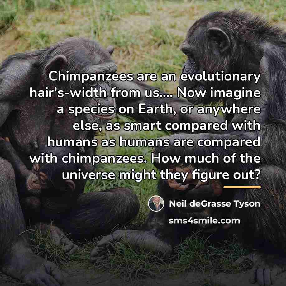 “Chimpanzees are an evolutionary hair's-width from us.... Now imagine a…” quote by Neil deGrasse Tyson