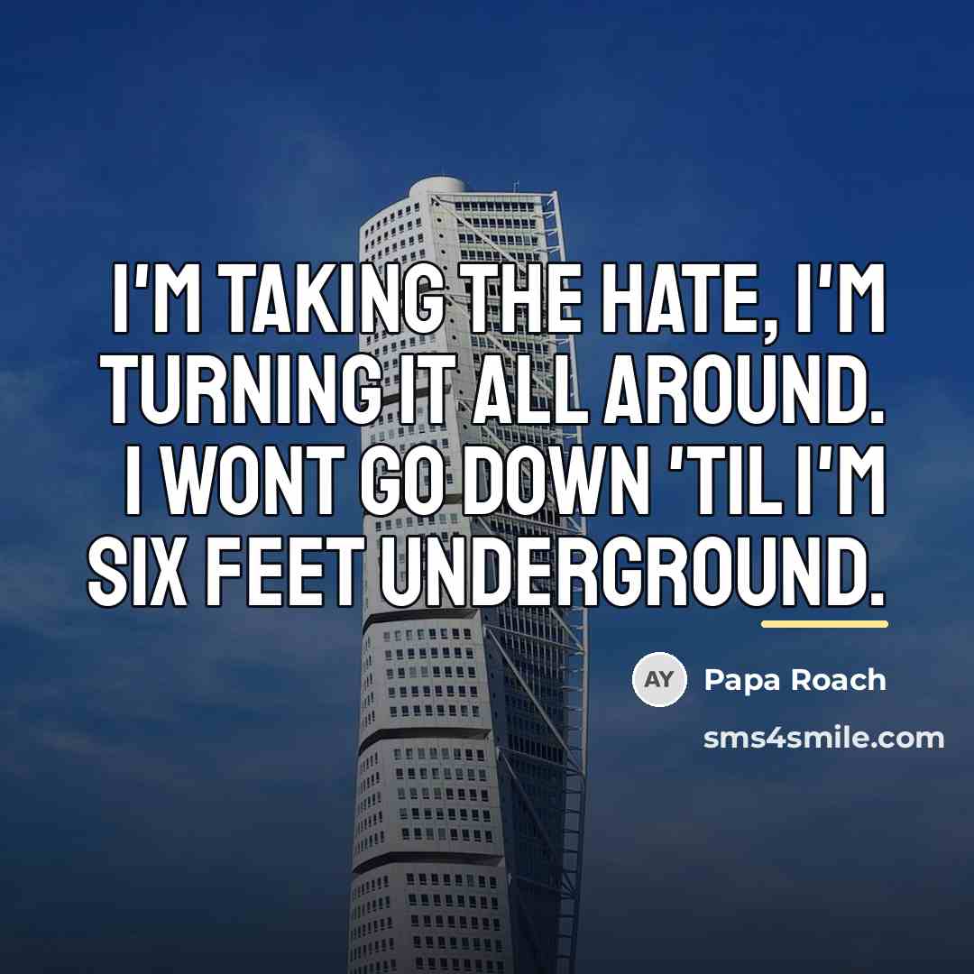 “I'm taking the hate, I'm turning it all around. I…” quote by Papa Roach