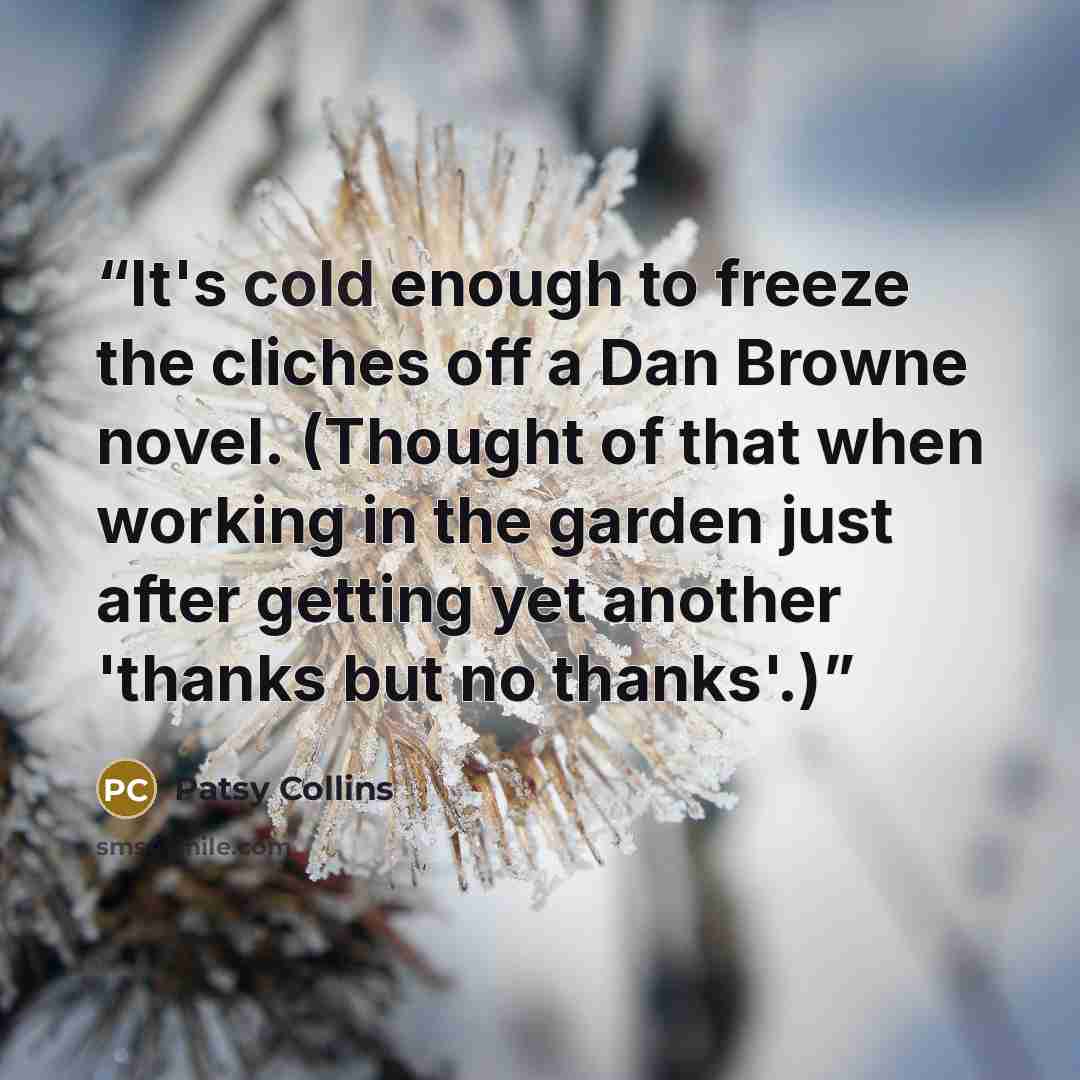 “It's cold enough to freeze the cliches off a Dan Browne novel. (Thought of that when working in the garden just after getting yet another 'thanks but no thanks'.)” quote by Patsy Collins