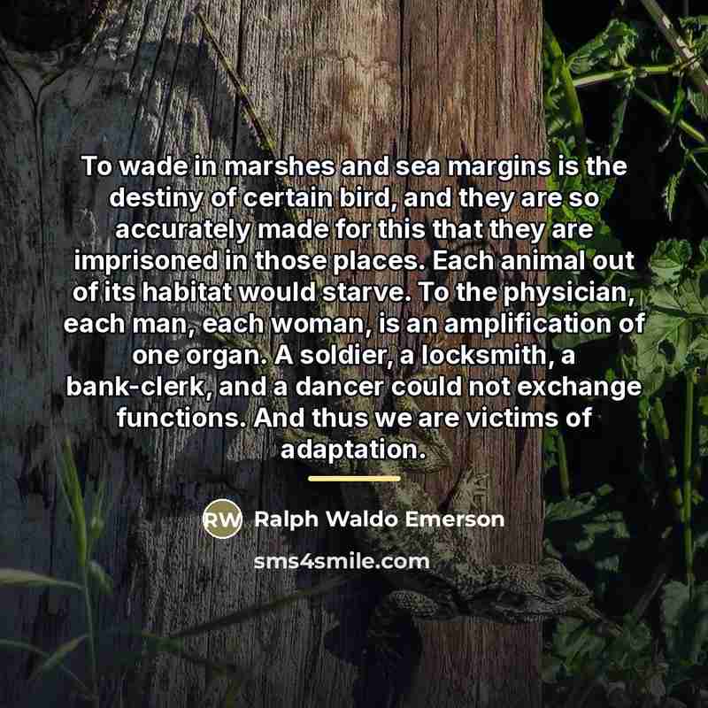 “To wade in marshes and sea margins is the destiny…” quote by Ralph Waldo Emerson