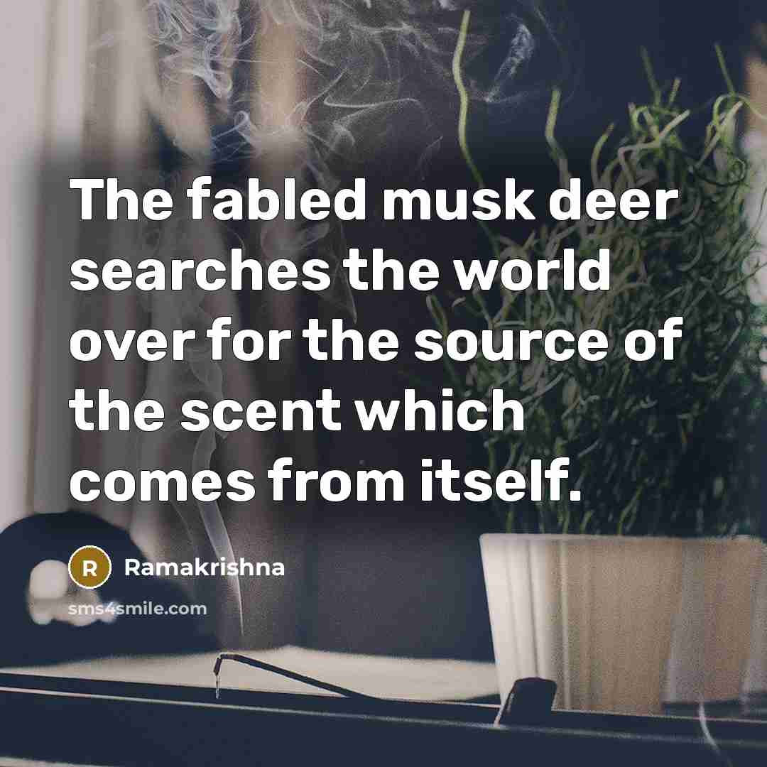 “The fabled musk deer searches the world over for the…” quote by Ramakrishna