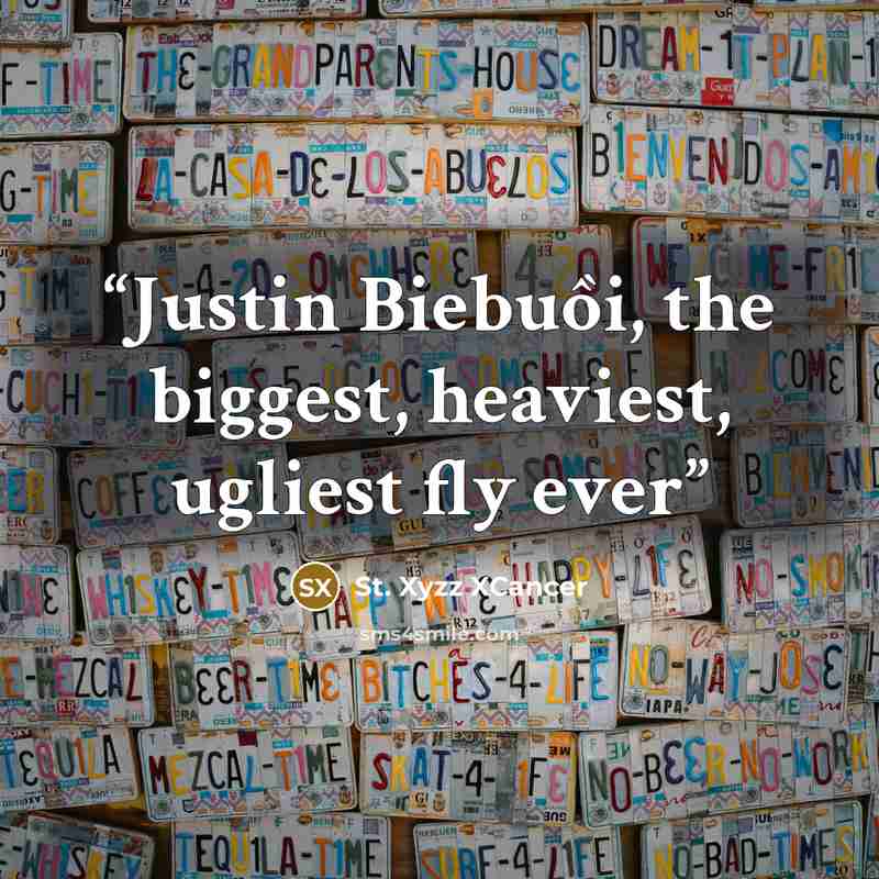 “Justin Biebuồi, the biggest, heaviest, ugliest fly ever” quote by St. Xyzz XCancer