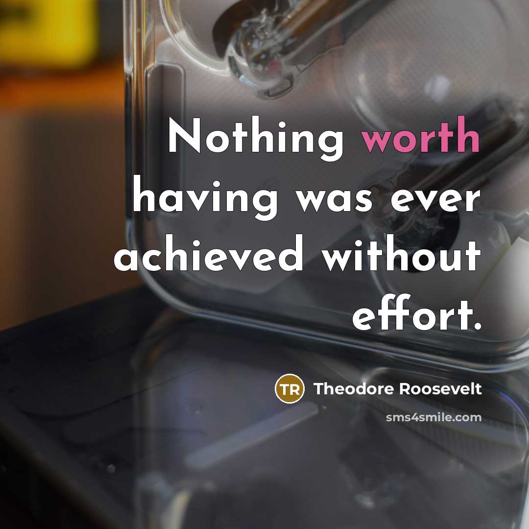 “Nothing worth having was ever achieved without effort.…” quote by Theodore Roosevelt