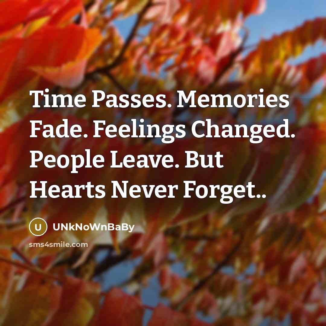 “Time Passes. Memories Fade. Feelings Changed. People Leave. But Hearts…” quote by UNkNoWnBaBy