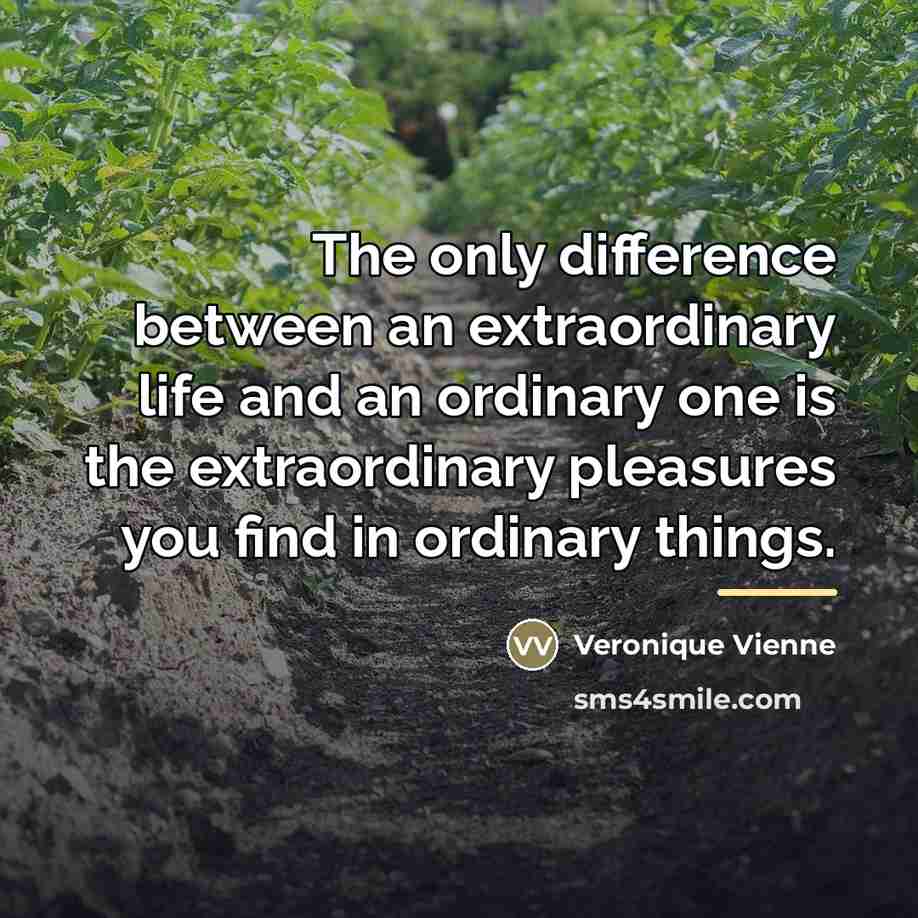 “The only difference between an extraordinary life and an ordinary…” quote by Veronique Vienne